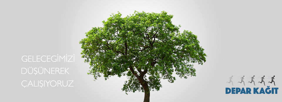 Depar Kağıt 5